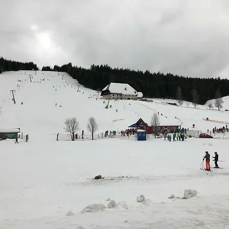 48qm Ferienwohnung Mit Grosser Terrasse Im Schwarzwald Neukirch (Black Forest)