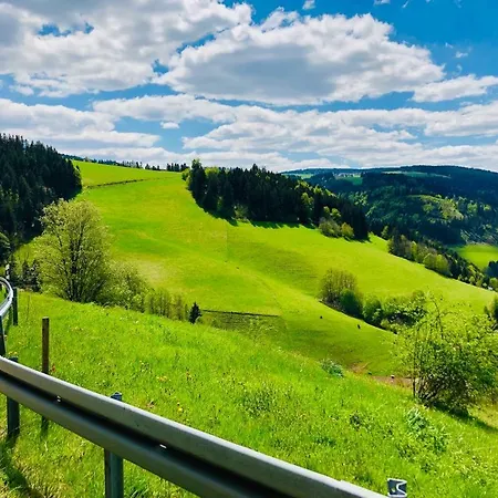 48qm Ferienwohnung Mit Grosser Terrasse Im Schwarzwald Lägenhet Neukirch (Black Forest)